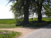 Dscn3988